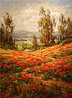 Famous View Paintings - Poppy Field A View From Above